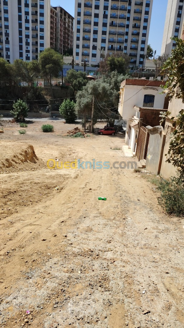 Vente Terrain Tipaza Kolea