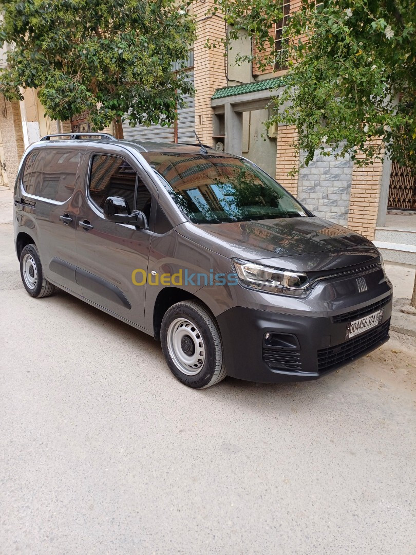 Fiat Doblo 2024 Professional