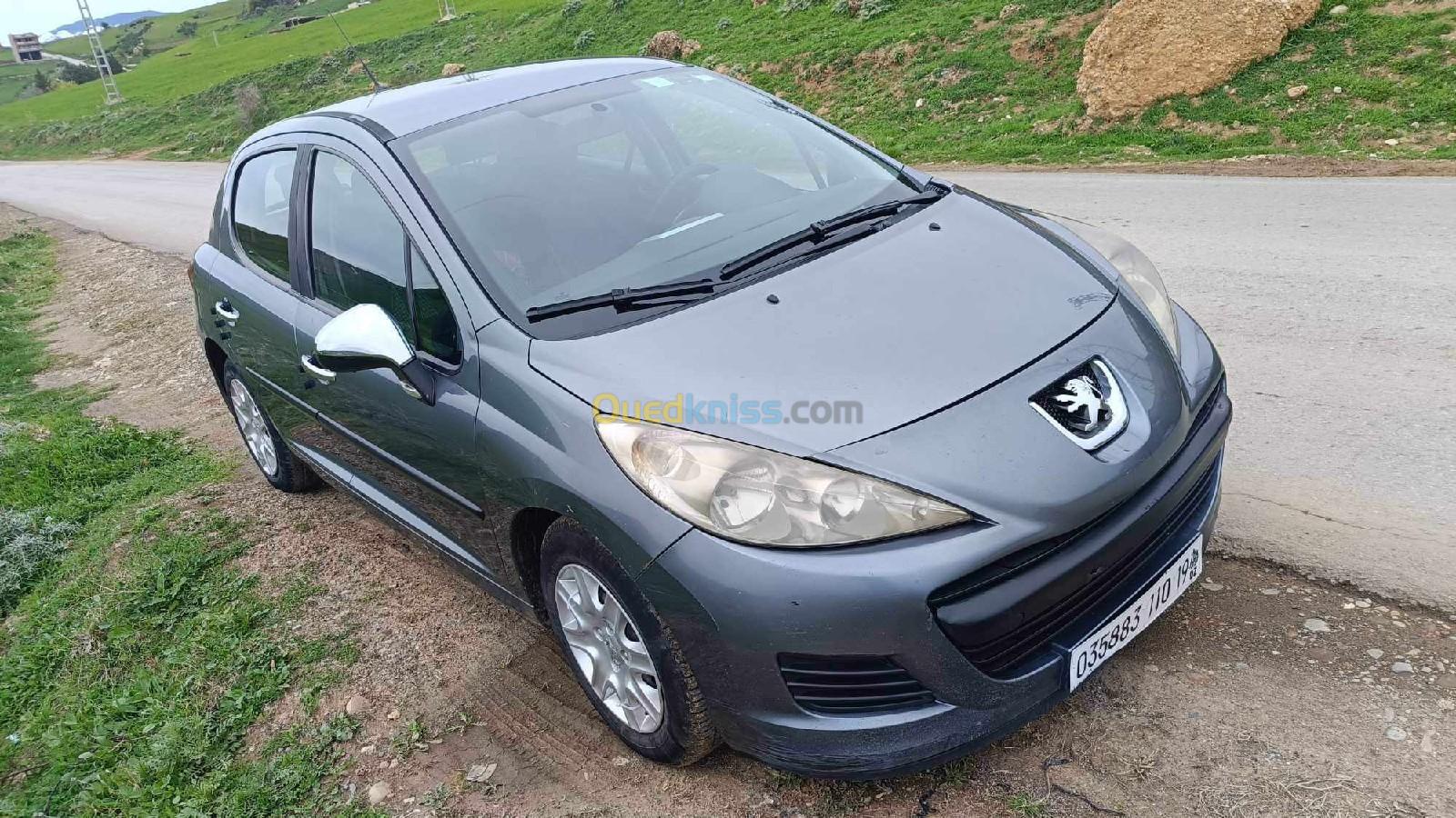 Peugeot 207 2010 207