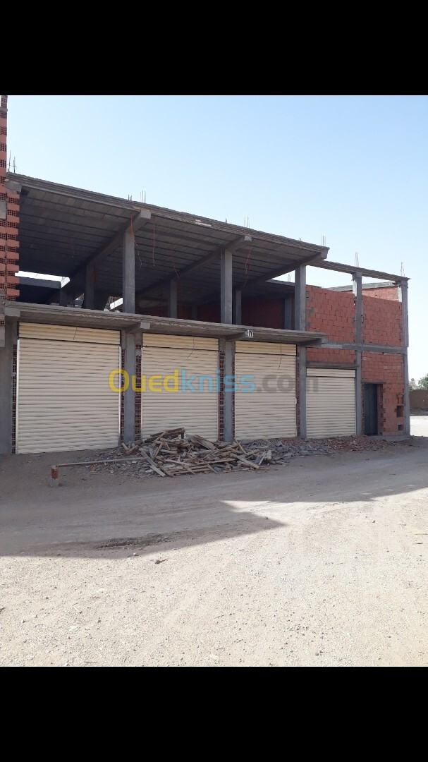 Vente Villa Laghouat Laghouat