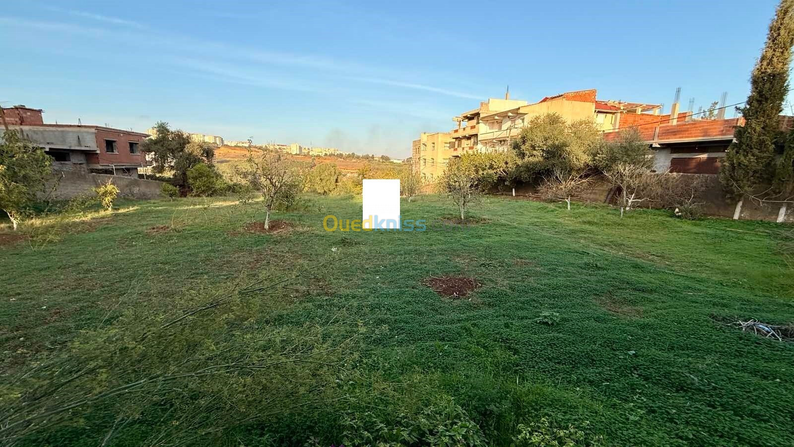 Vente Terrain Tipaza Kolea