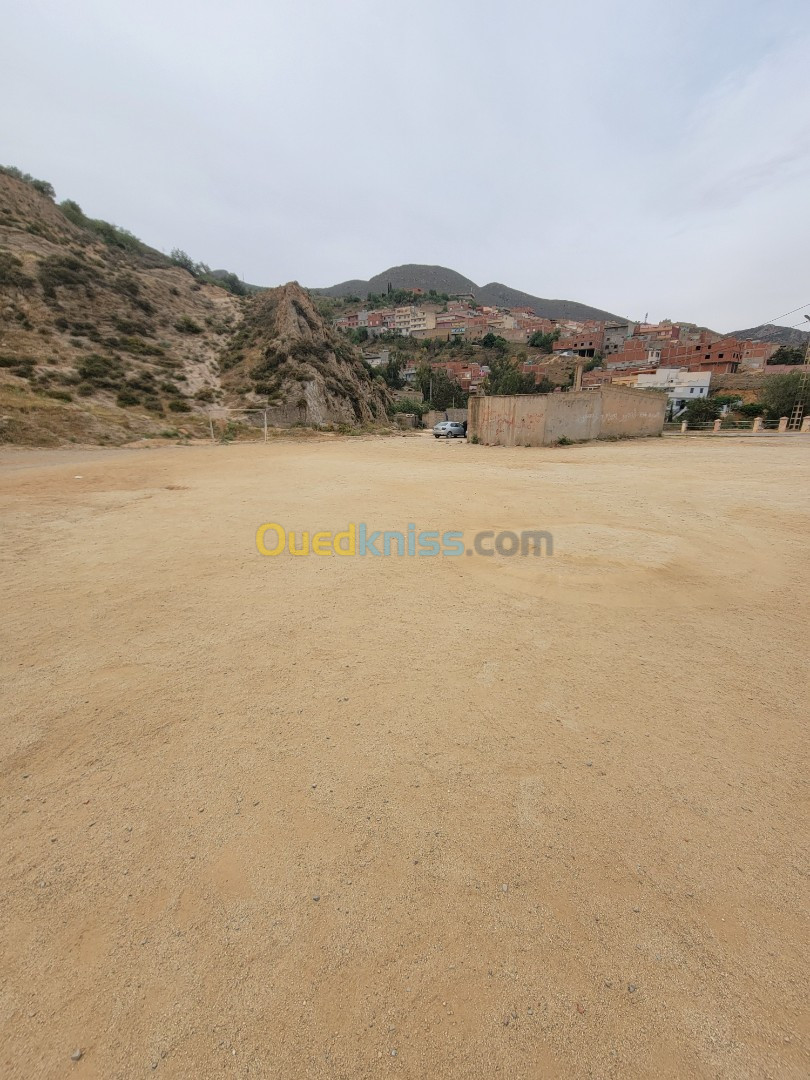 Vente Terrain Tlemcen Nedroma