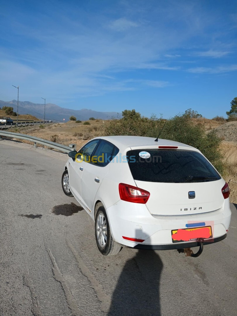 Seat Ibiza 2013 Fully