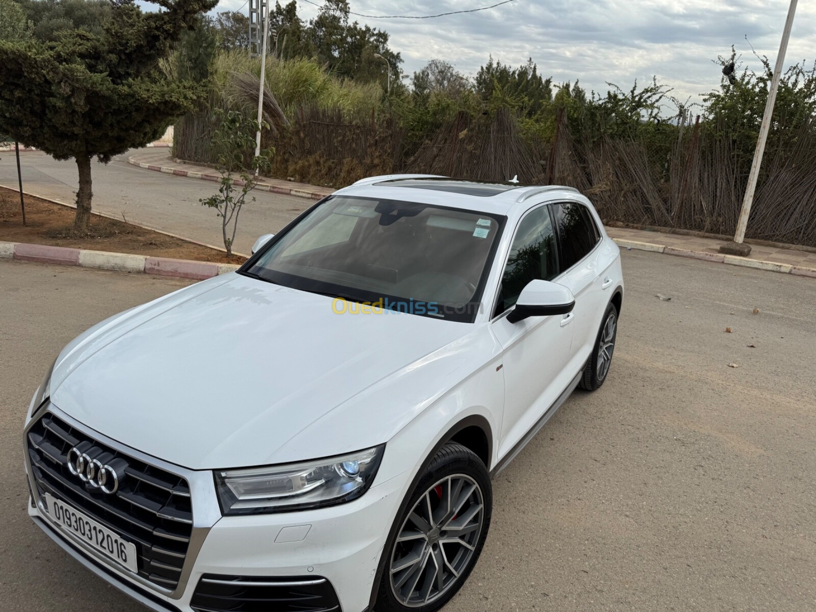 Audi Q5 2020 S Line