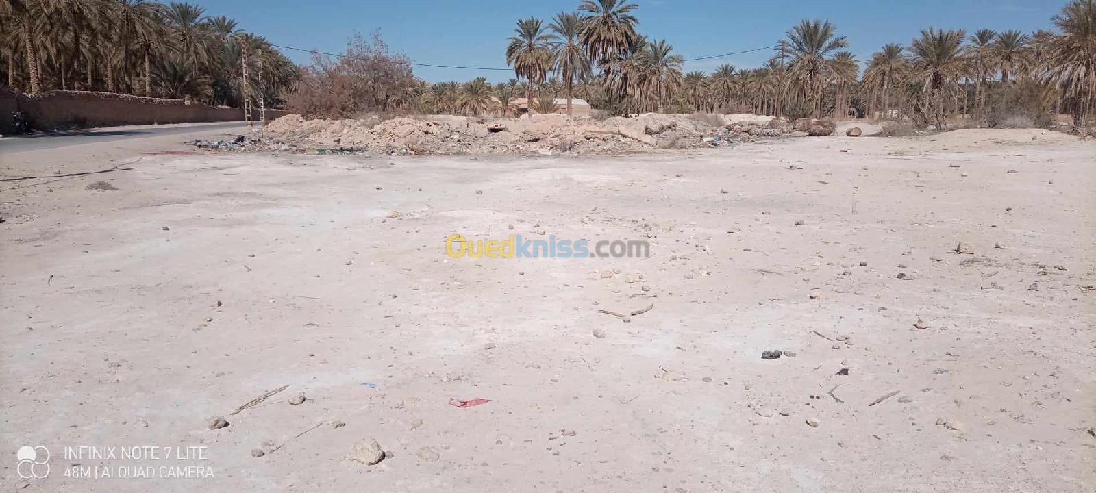 Vente Terrain Biskra Bordj ben azzouz