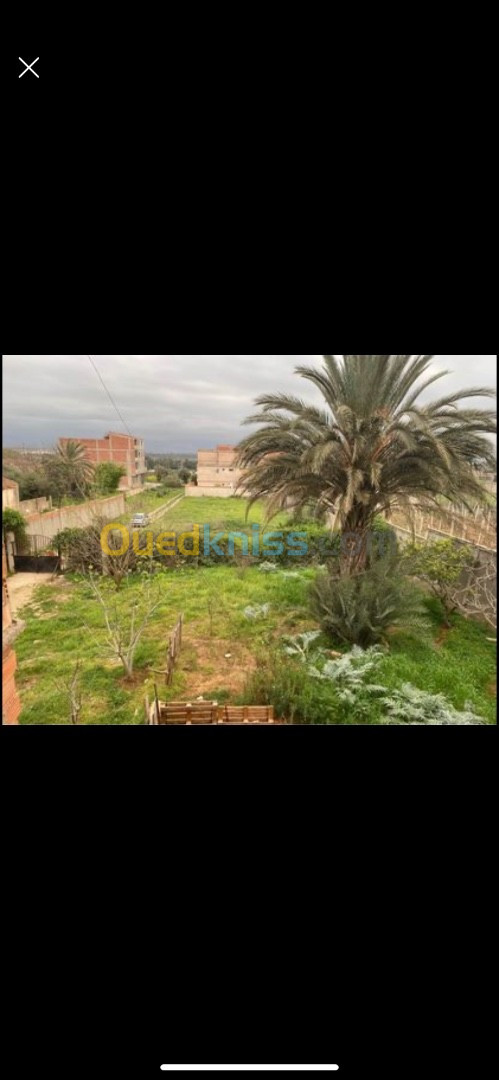 Vente Terrain Alger Douera