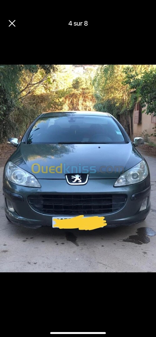 Peugeot 407 2009 407