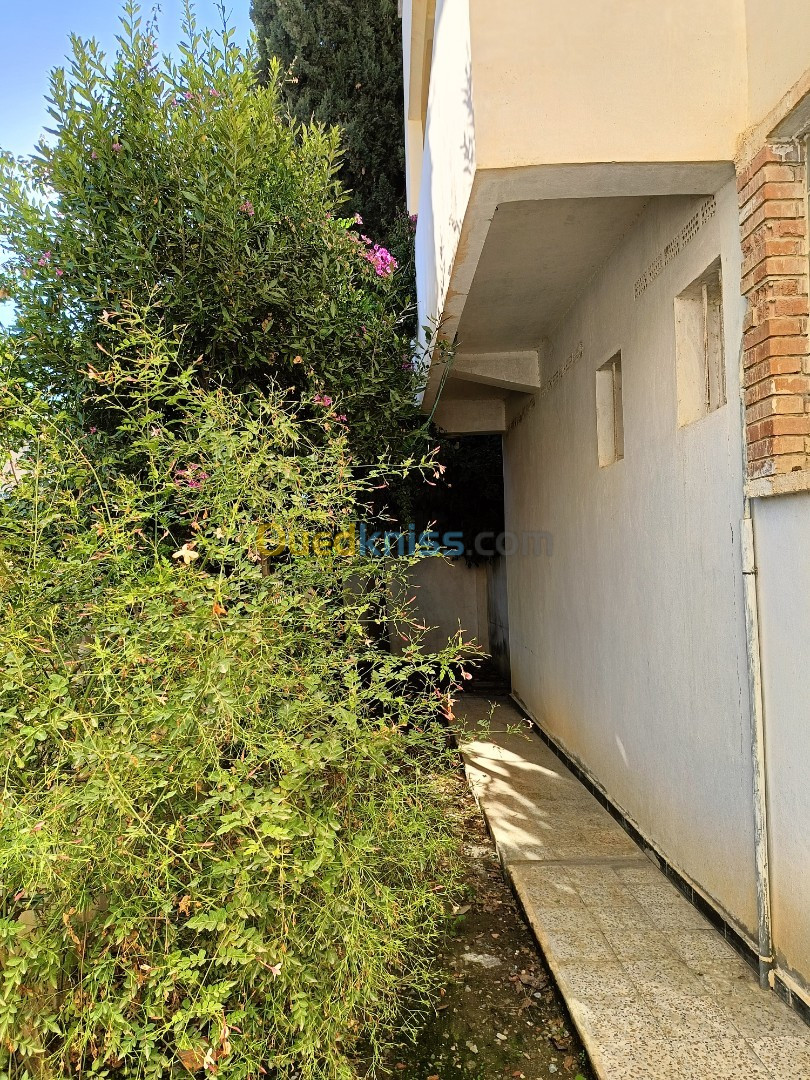 Vente Villa Mila Oued athmania