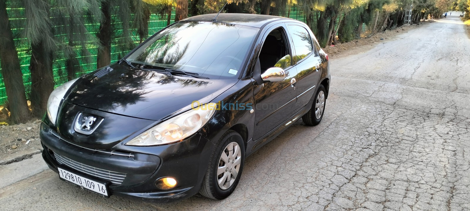 Peugeot 206 Plus 2009 206 Plus