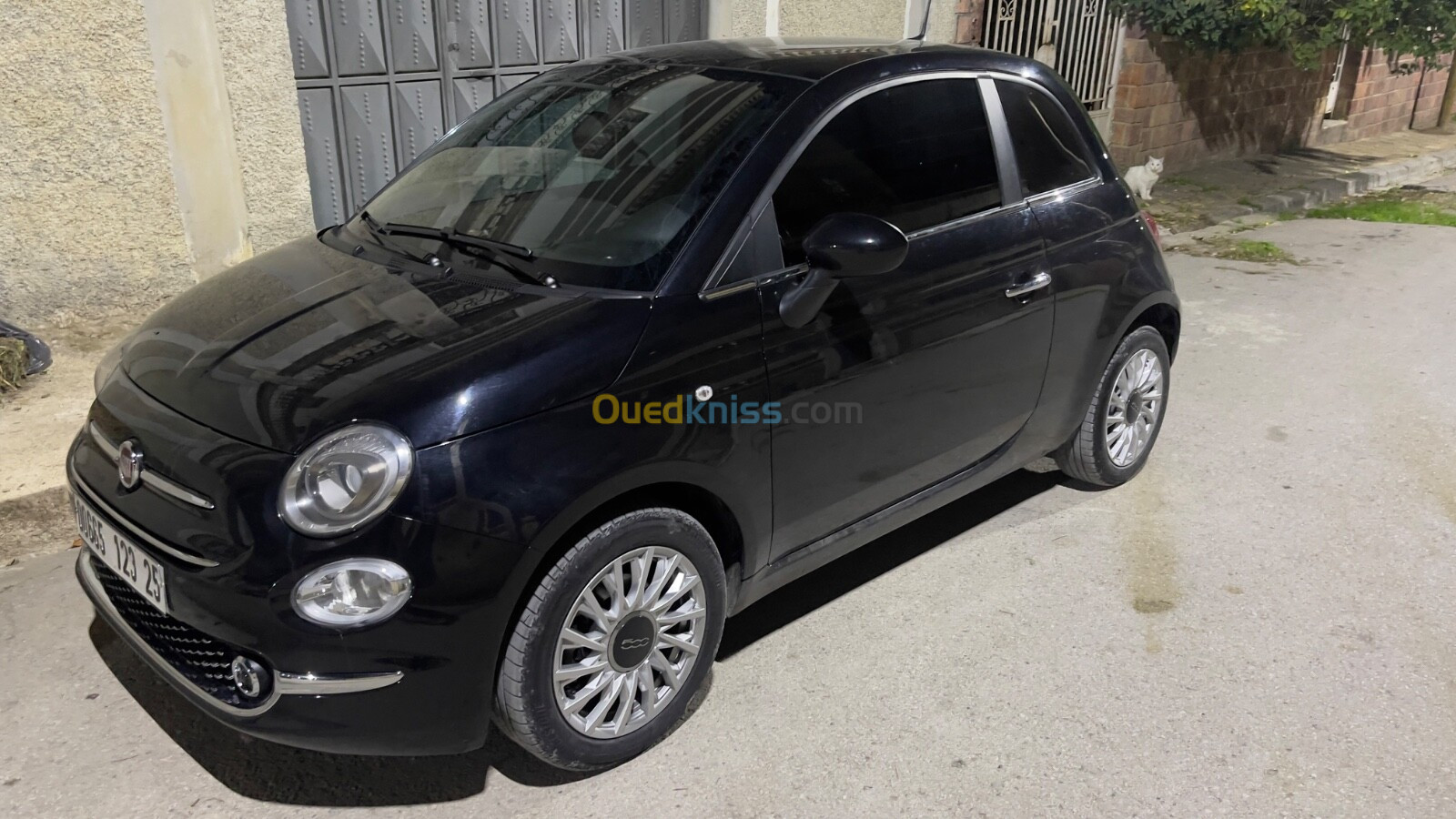 Fiat 500 2023 Club