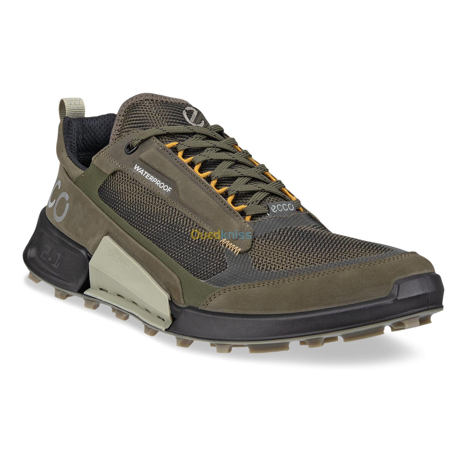 ECCO Biom 2.1 X Mountain M Grape Leaf / Tarmac / Black