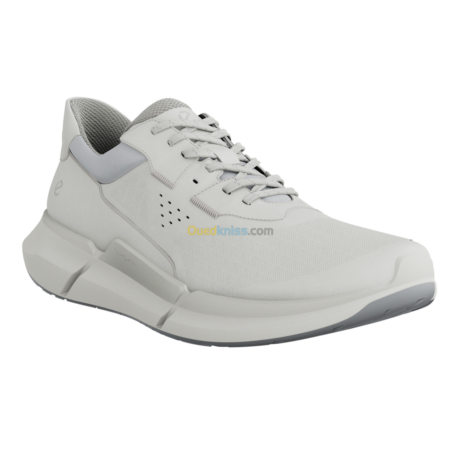 ECCO Biom 2.2 W White