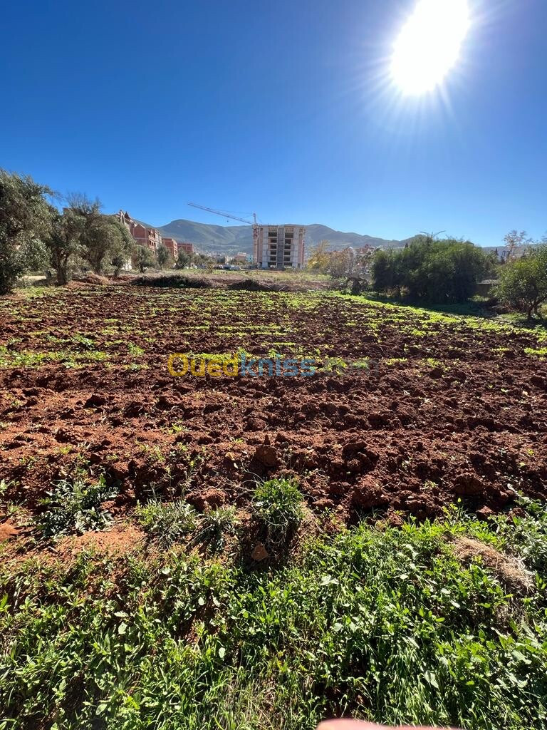 Vente Terrain Tlemcen Nedroma