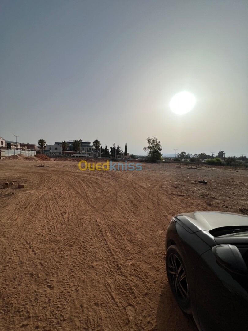 Vente Terrain Tlemcen Nedroma