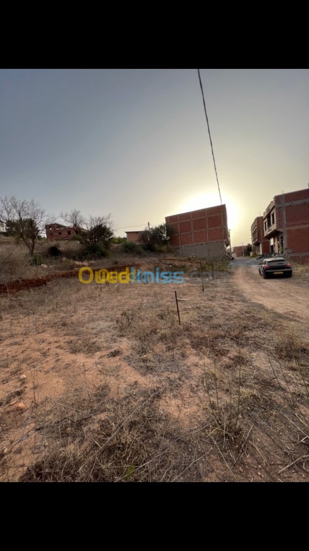 Vente Terrain Tlemcen Nedroma