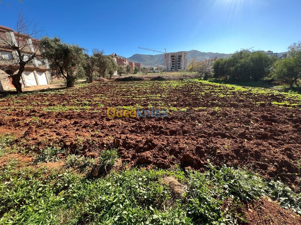 Vente Terrain Tlemcen Nedroma