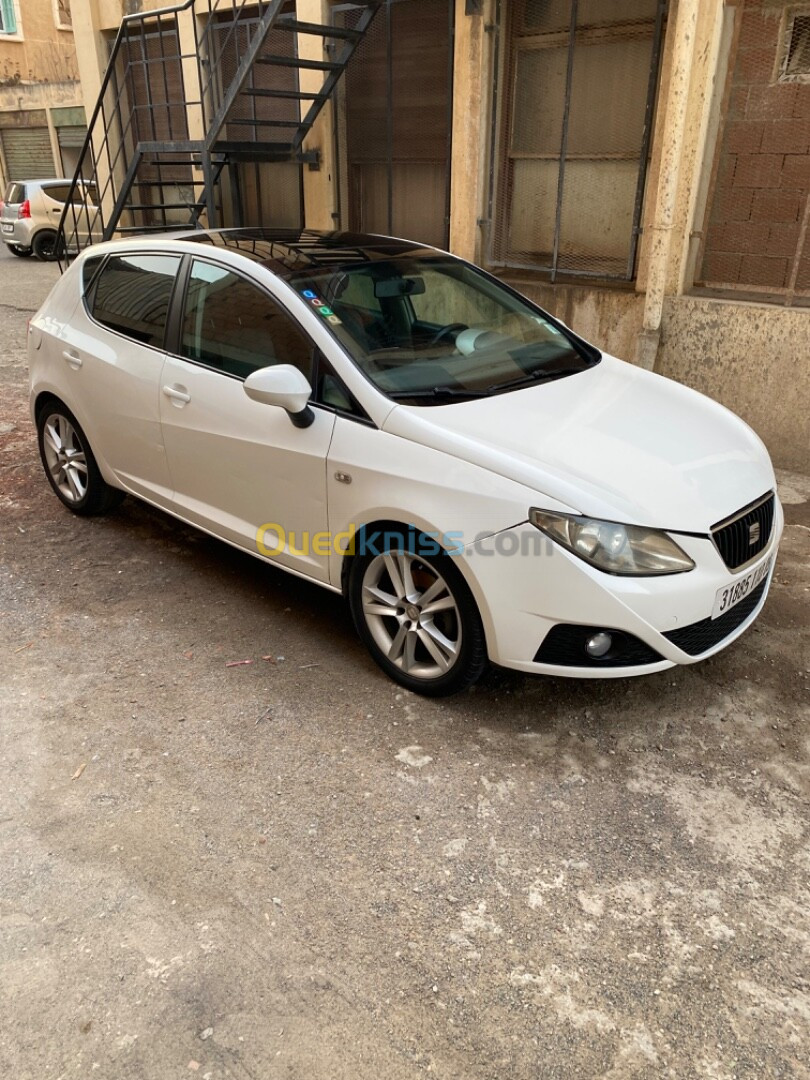 Seat Ibiza 2010 Loca