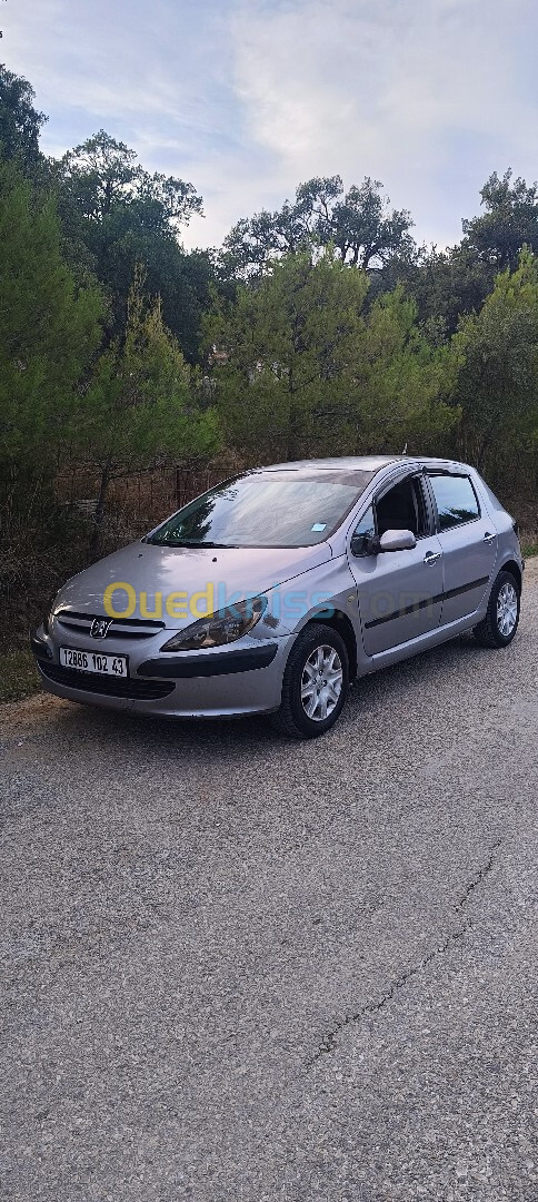 Peugeot 307 2002 