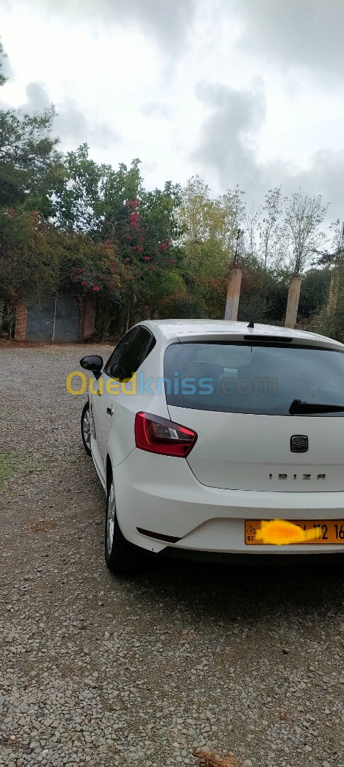 Seat Ibiza 2012 Fully