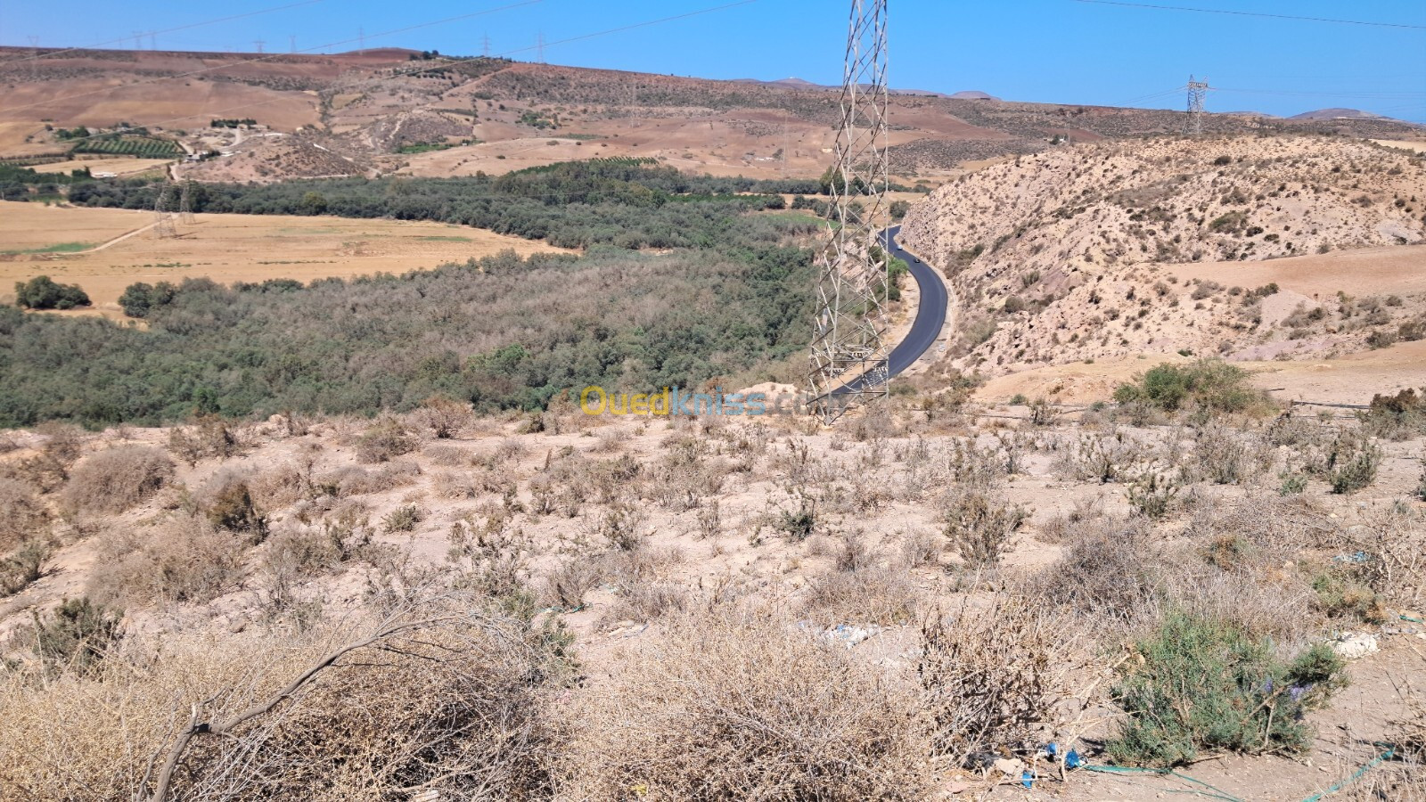 Location Hangar Aïn Témouchent El emir abdelkader