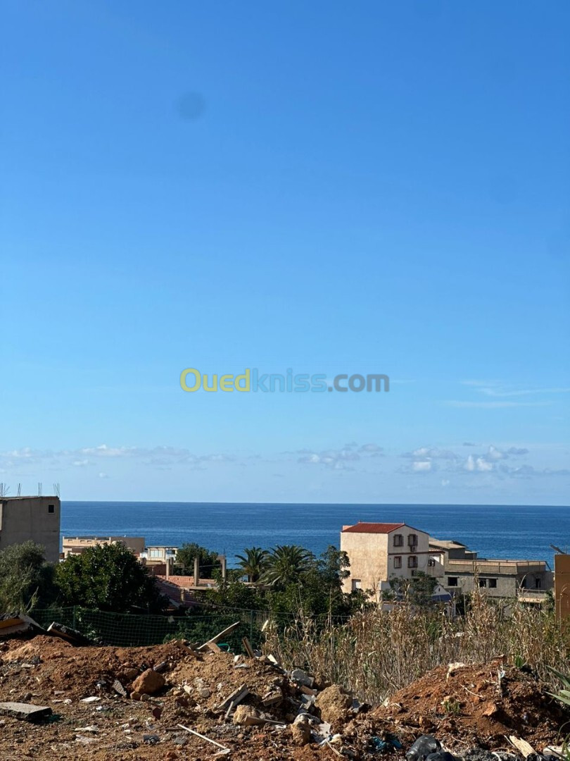 Vente Terrain Tipaza Bou haroun