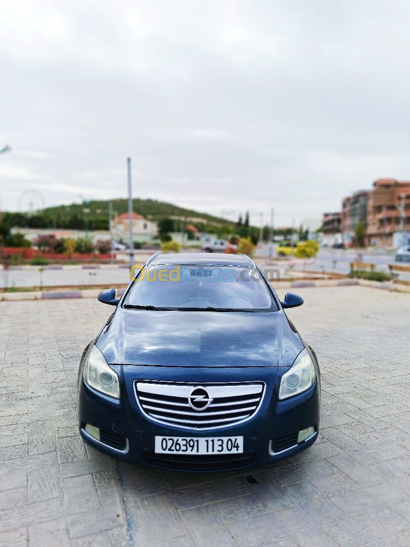 Opel Insignia 2013 OPC