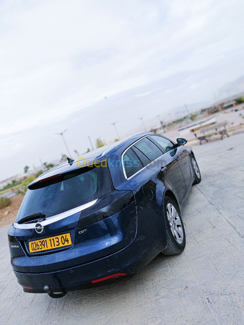 Opel Insignia 2013 OPC