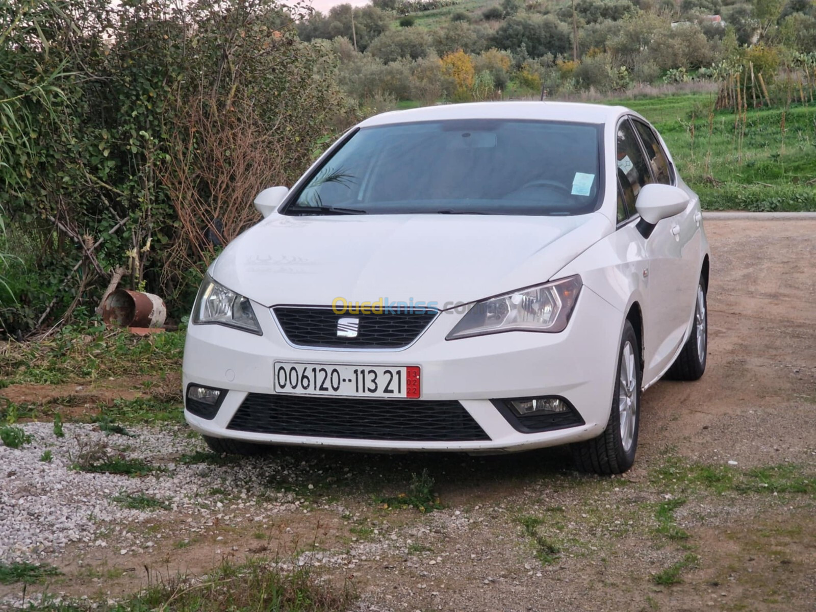 Seat Ibiza 2013 Fully