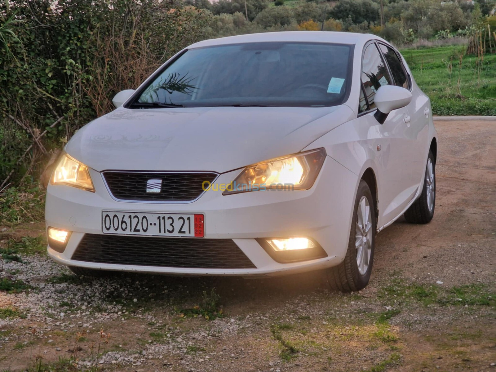 Seat Ibiza 2013 Fully