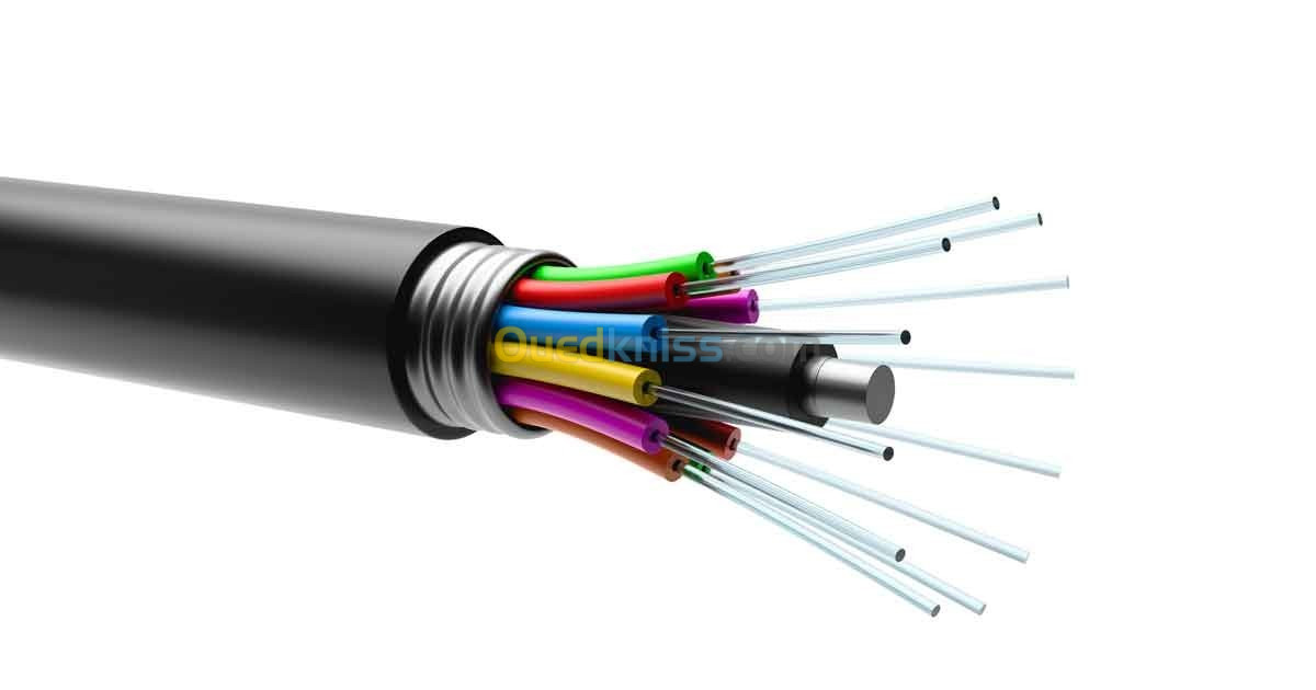 Cable fibre optique - Oran Algérie