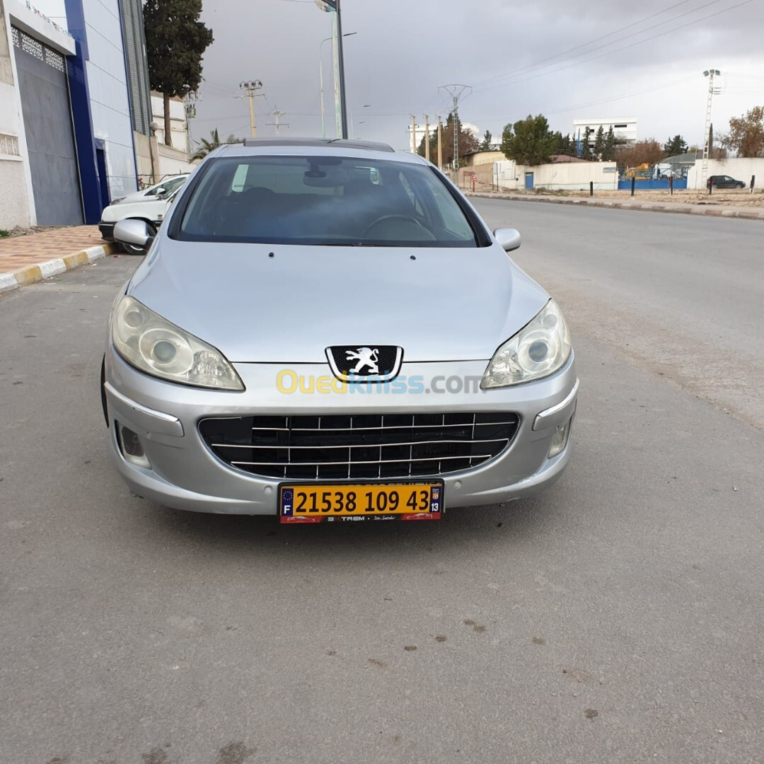 Peugeot 407 2009 