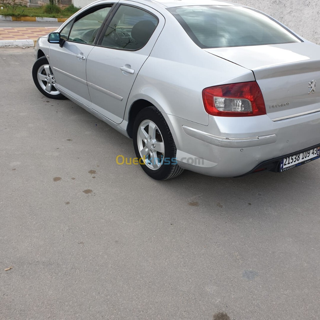 Peugeot 407 2009 