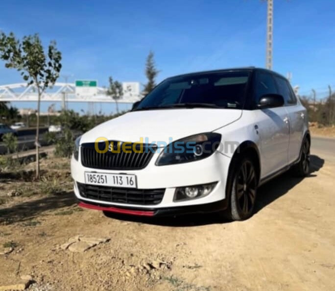 Skoda Fabia 2013 monte carlo