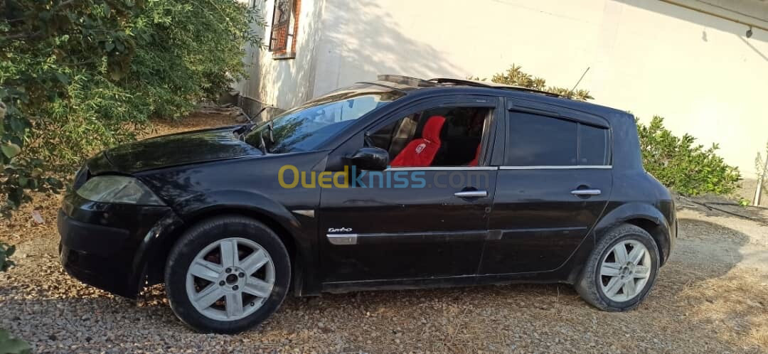 Renault Megane 2003 Biry