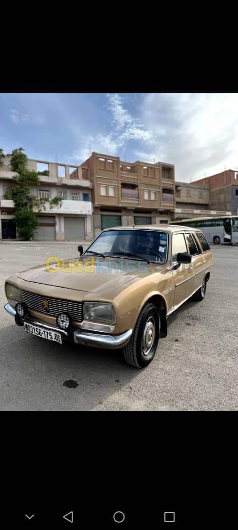 Peugeot 504 1975 504