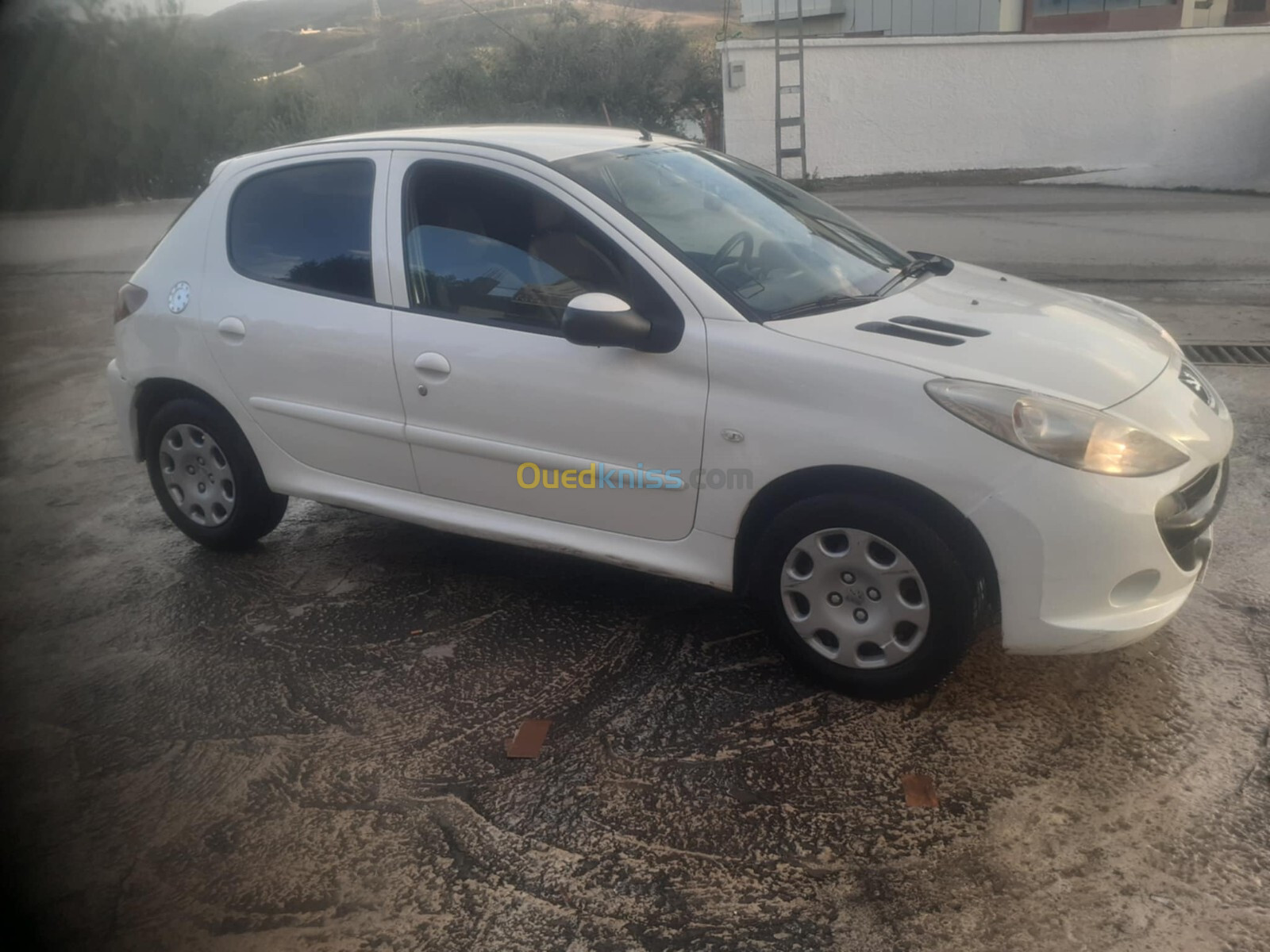 Peugeot 206 Plus 2011 206 Plus