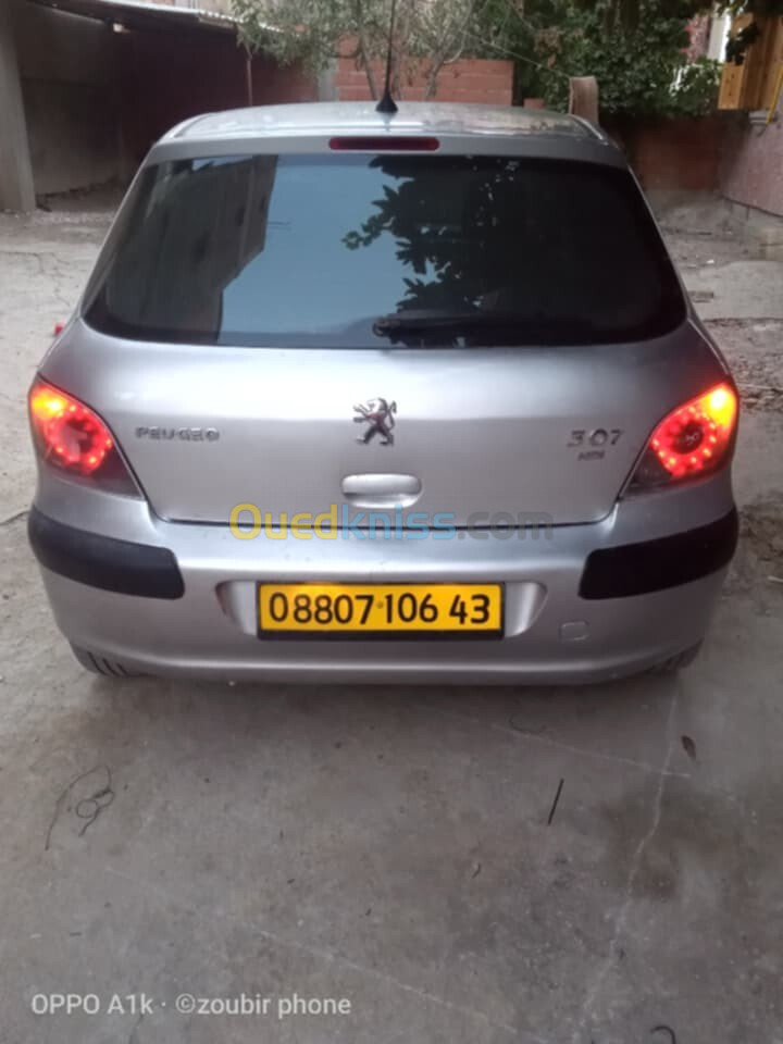 Peugeot 307 2006 Oxygo