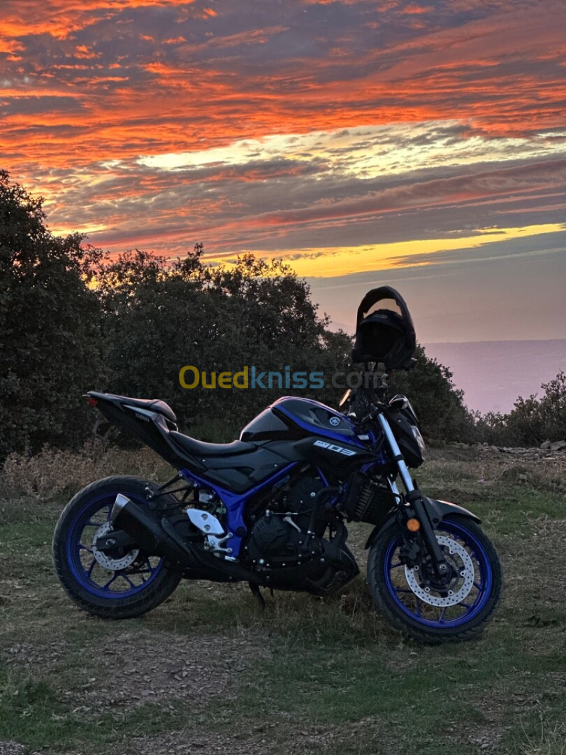 Yamaha mt 03 2020