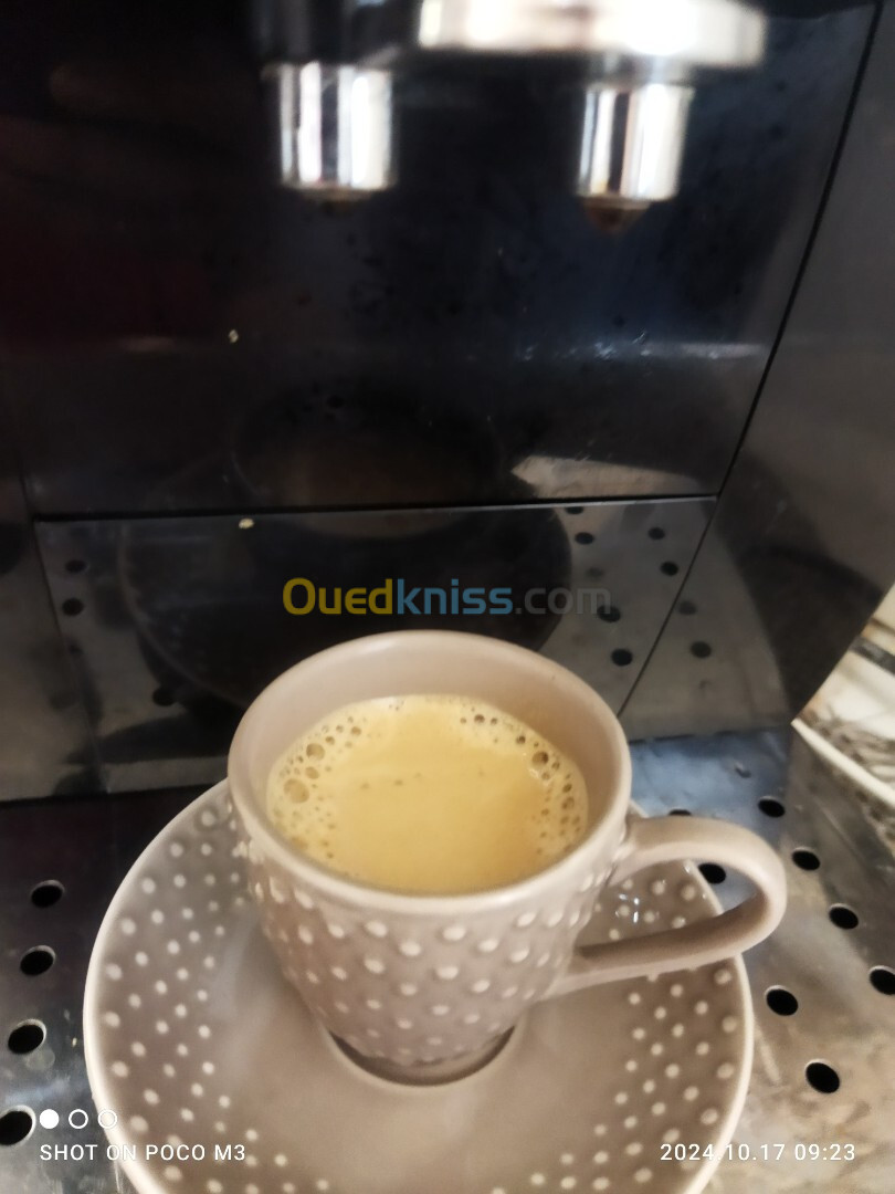 Machine a café Delonghi magnifica S