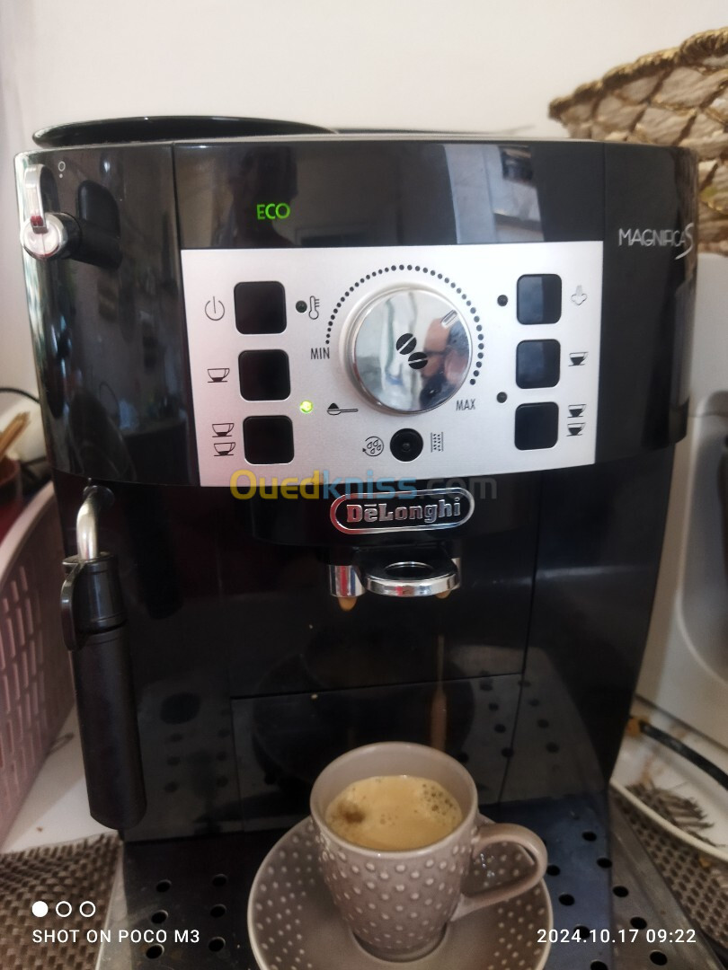 Machine a café Delonghi magnifica S