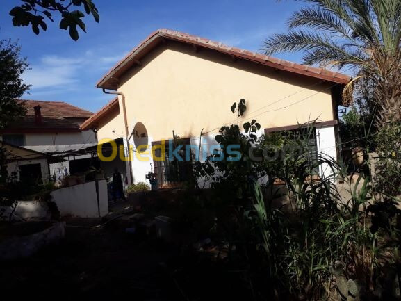 Vente Villa Tipaza Bou haroun