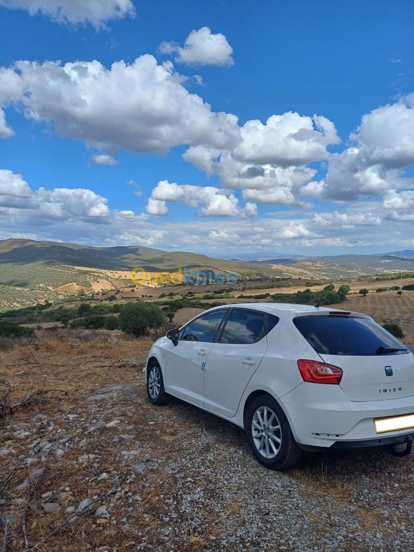 Seat Ibiza 2013 Fully