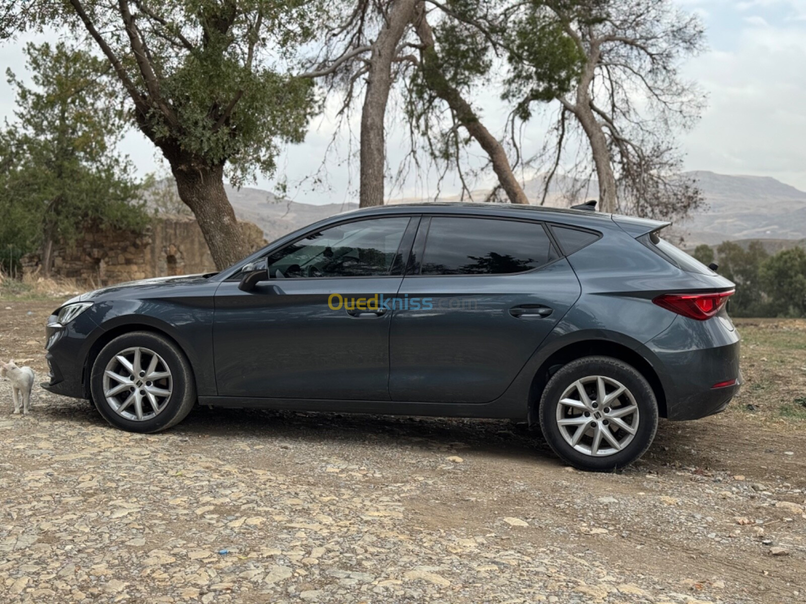 Seat Leon 2021 Leon