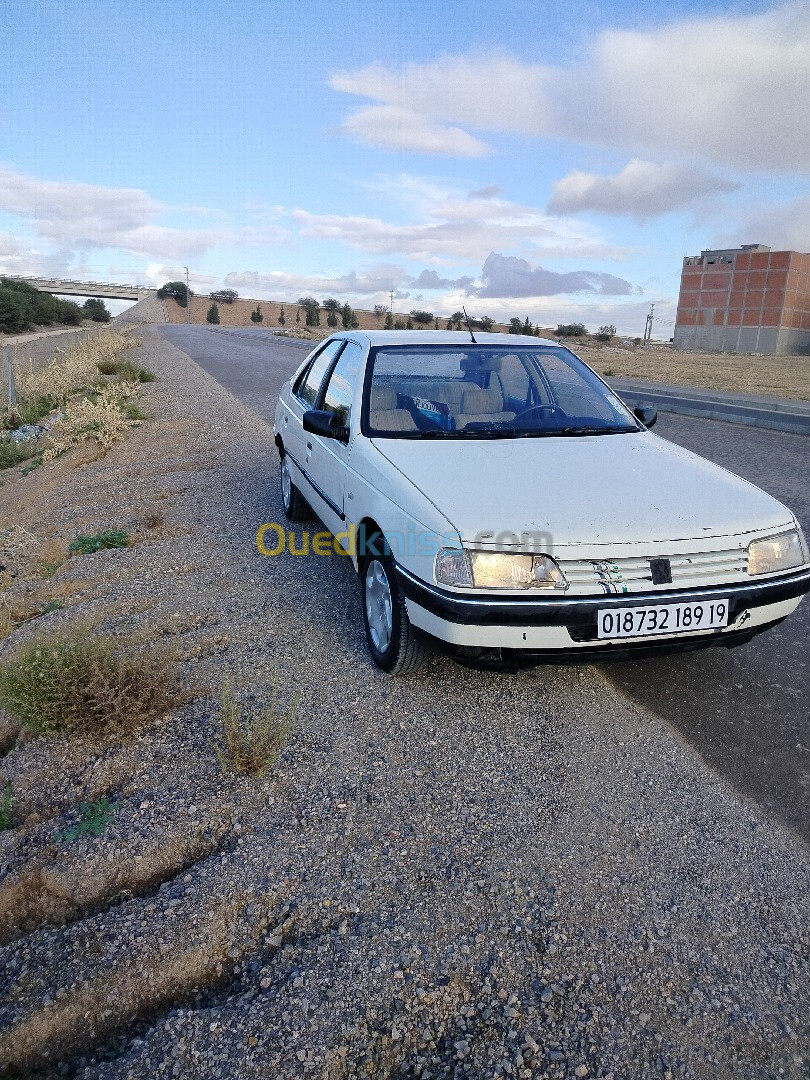 Peugeot 405 1989 405