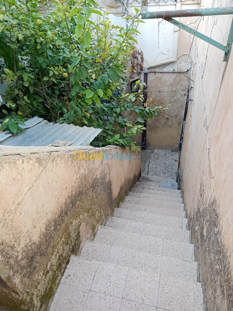 Vente Appartement F4 Tébessa Tebessa