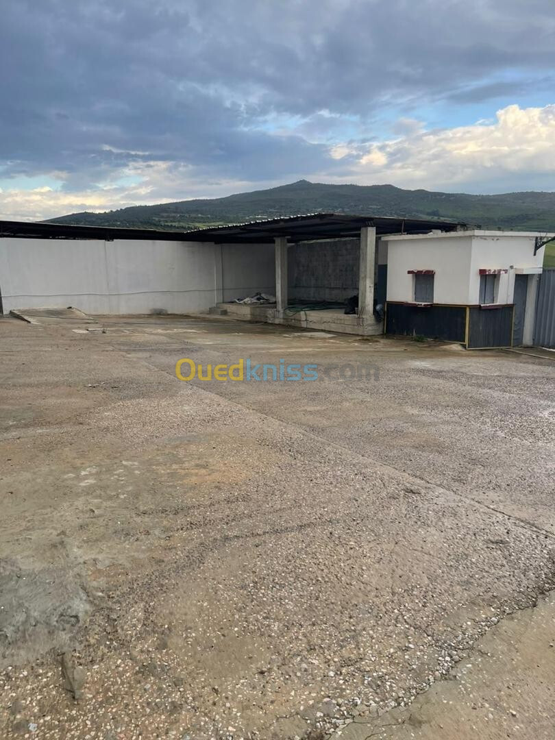 Vente Hangar Guelma Guelma