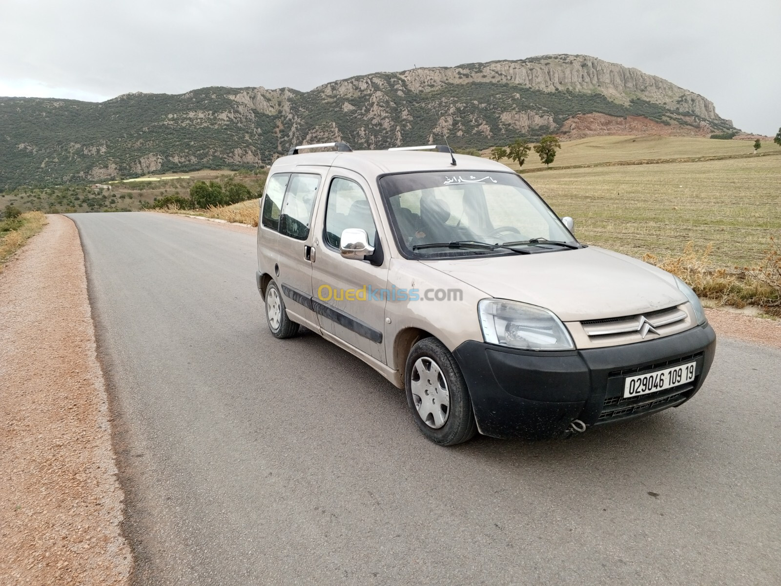 Citroen Berlingo 2009 Berlingo