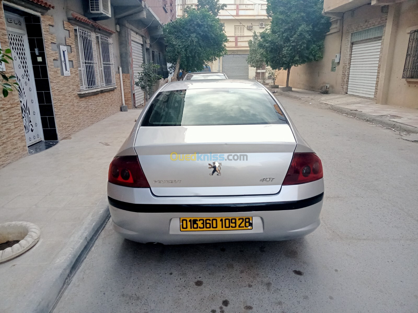 Peugeot 407 2009 407