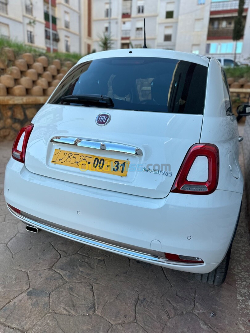 Fiat 500 2024 Doocevita Dz