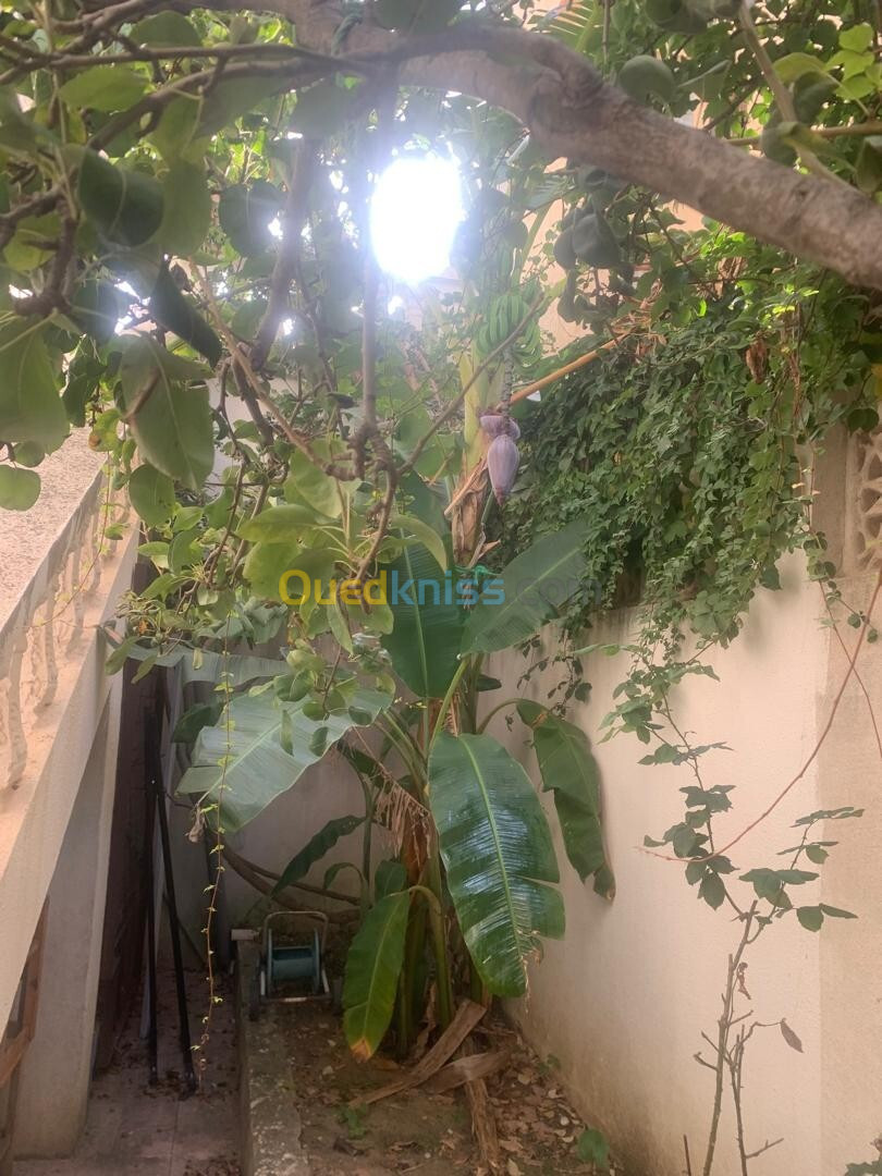 Location Niveau De Villa F3 Annaba Annaba